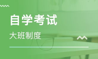 探索济南心领秀教育咨询有限公司 引领个性化教育新潮流